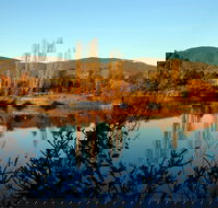 Allan's Flat Reserve - Winery Find