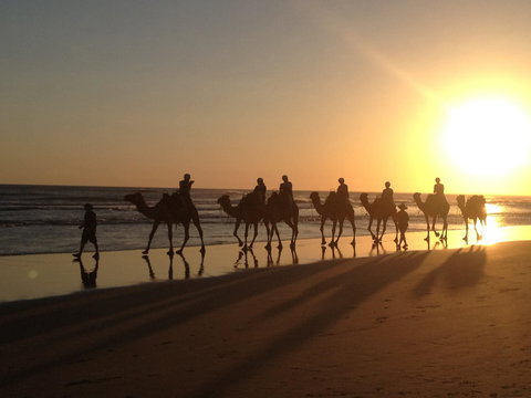 Anna Bay - Winery Find 0