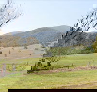 Banimboola Creek Rest Area - Winery Find