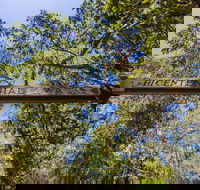 Bribie Island Bicentennial Trails - Winery Find