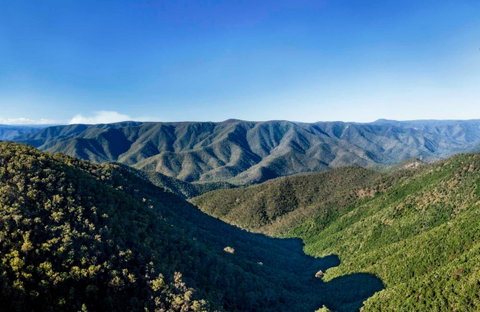 Budds Mare Lookout - Winery Find 0