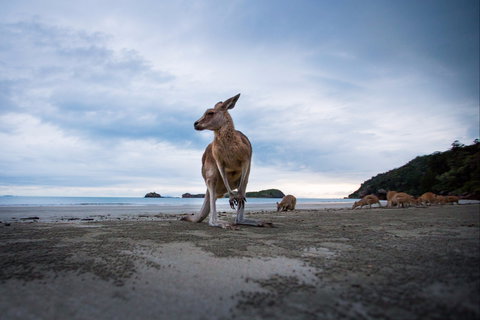 Cape Hillsborough - Winery Find 1