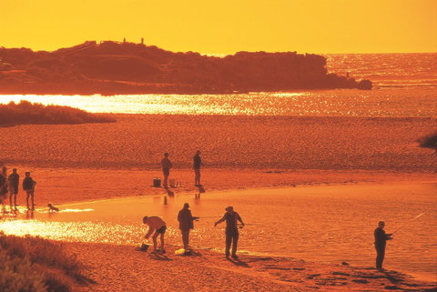 Chinaman's Beach - Winery Find 1