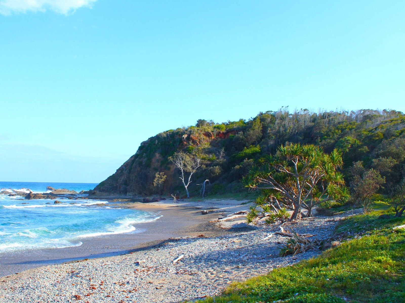 The Sandon NSW Winery Find