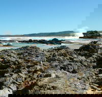 Coastal Walks - Bermagui - Winery Find