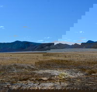 Darke Peak Scenic Drive - Winery Find