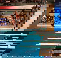 Dive Into History at Sydney Olympic Park Aquatic Centre - Winery Find