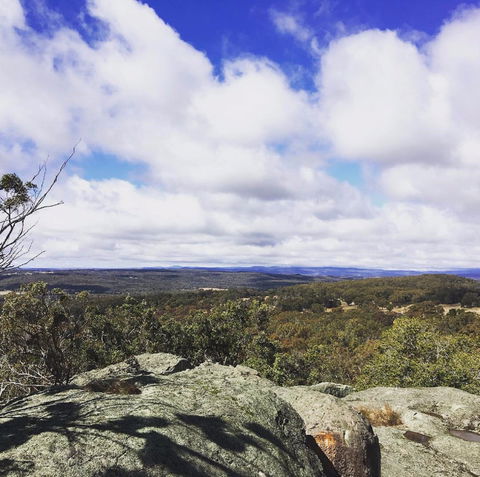Donnellys Castle - Winery Find 0