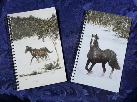 Dungog Arts Society - Winery Find 2