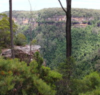 East Rim wildflower walking track - Winery Find