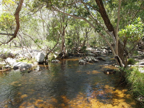Emerald Creek, Dinden West Forest Reserve - Winery Find 1