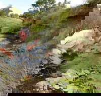 Gold Panning Deep Creek - Winery Find