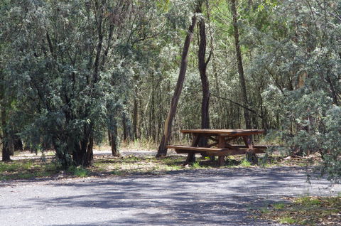 Goonoowigall State Conservation Area - Winery Find 0