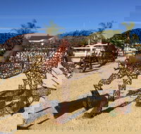 Gundersen Reserve - Winery Find