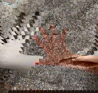 Hands of Fame Park - Winery Find