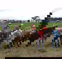 High Country Trail Rides - Winery Find