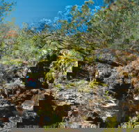 Kroombit Tops National Park - Winery Find