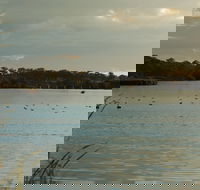 Lake Inverell Reserve - Winery Find