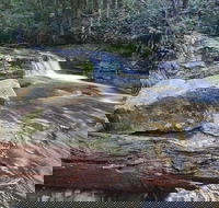 Liffey Falls Reserve - Winery Find