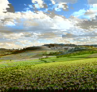 Lions Park Hodgson Vale - Winery Find