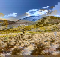 Little Mountain Walking Track - Winery Find