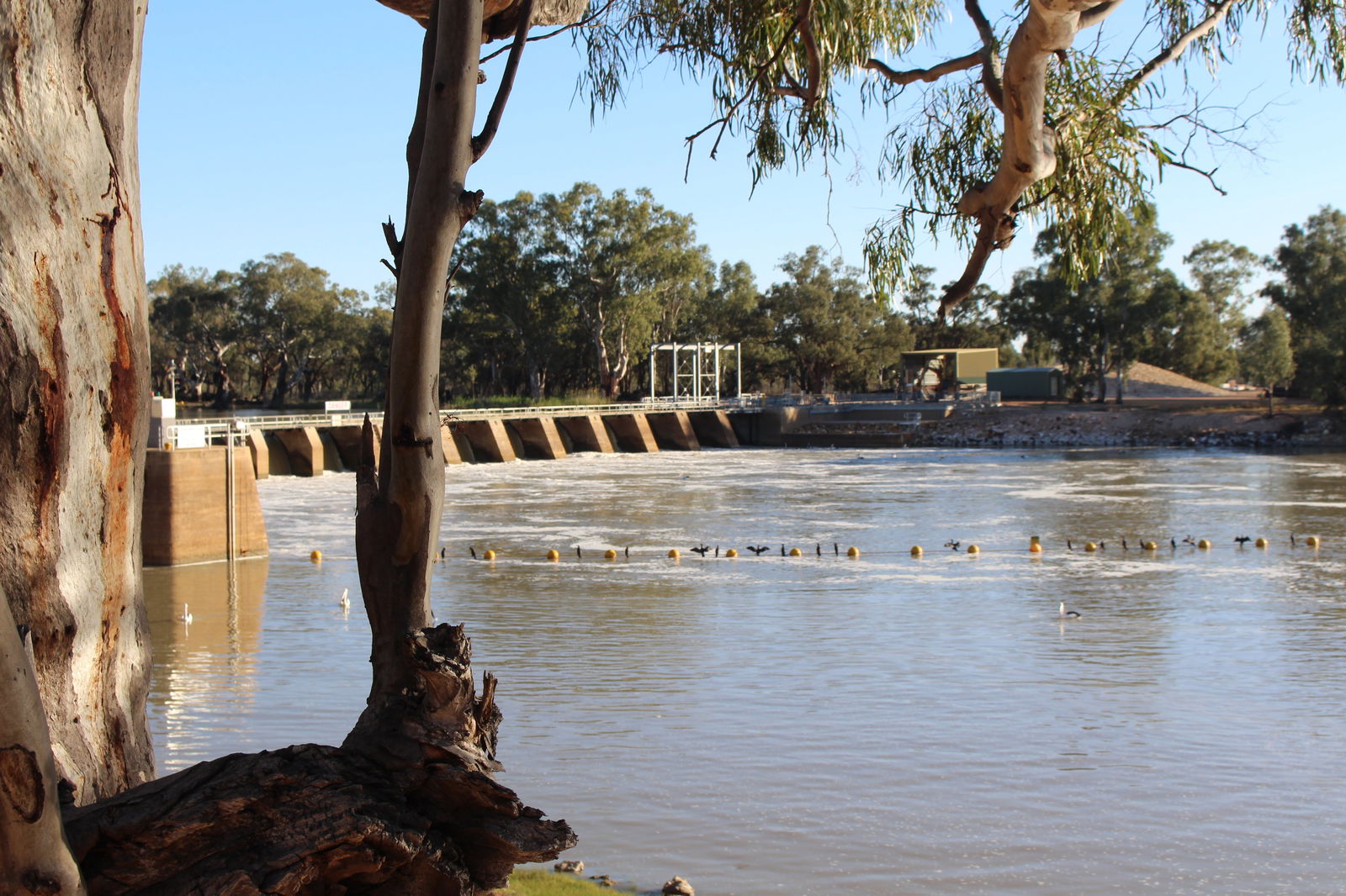 The Riverland And Murraylands SA Winery Find