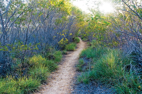 Minerva Hills National Park - Winery Find 2