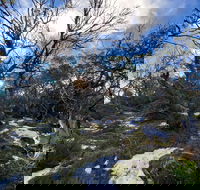 Mount Torbreck Summit Walk - Winery Find