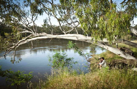 Murray Valley National Park - Winery Find 0