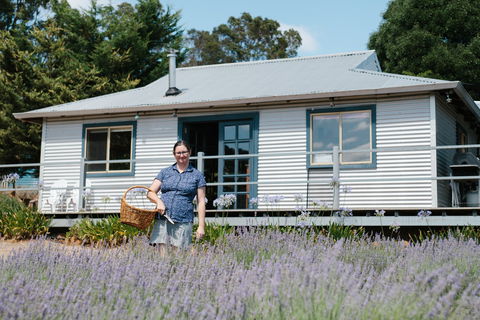 Nannup Lavender Farm - Winery Find 1