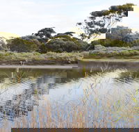 Onkaparinga River Recreation Park - Winery Find