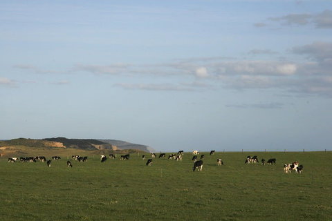 Port Campbell - Winery Find 2