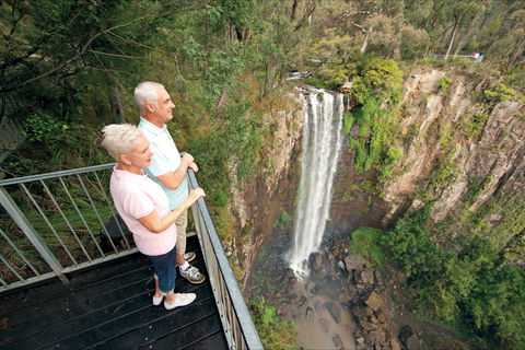 Queen Mary Falls Circuit, Main Range National Park - Winery Find 1