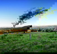Ravensbourne - Winery Find
