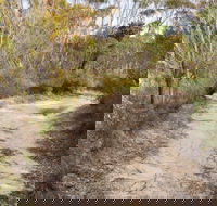 Red Rocks trig walking track - Winery Find