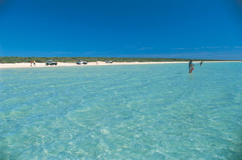 Shark Bay World Heritage Drive - Winery Find 1