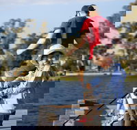 Shepparton - Winery Find