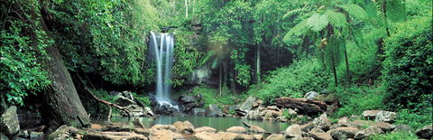 Tamborine National Park - Winery Find 0