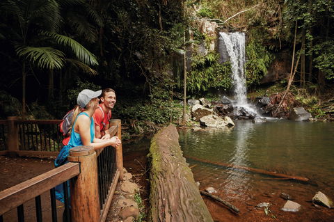 Tamborine National Park - Winery Find 1