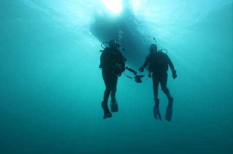 The Arches Marine Sanctuary - Winery Find 0
