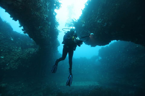 The Arches Marine Sanctuary - Winery Find 1