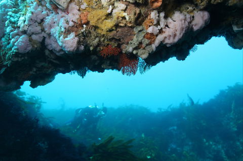 The Arches Marine Sanctuary - Winery Find 2