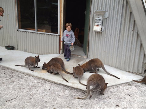The Patriarch Wildlife Sanctuary - Winery Find 0