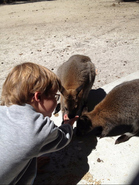 The Patriarch Wildlife Sanctuary - Winery Find 1