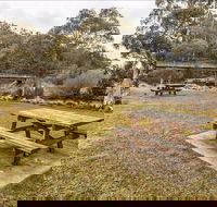 Thredbo River picnic area - Winery Find