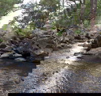 Threlfall Walking Track - Winery Find