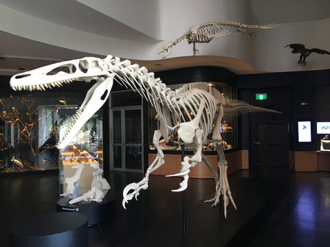 UNE Natural History Museum - Winery Find 0