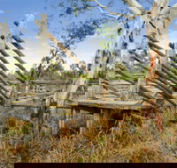 Wandoan - Winery Find