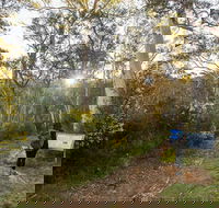 Yarrangobilly Caves  River walk - Winery Find