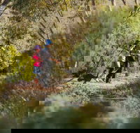 Australian Arid Lands Botanic Garden - Winery Find
